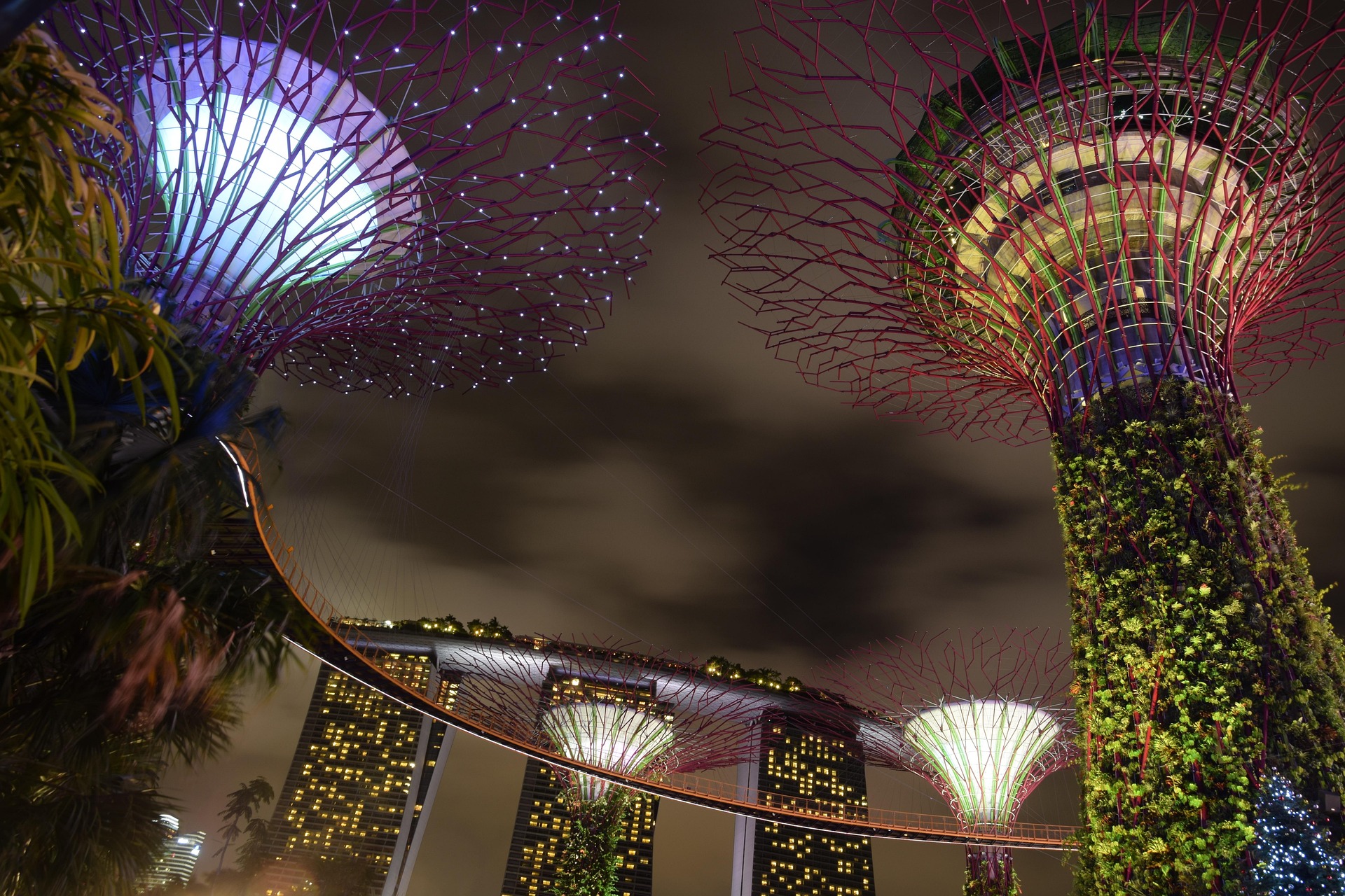 Supertrees Gardens by the Bay